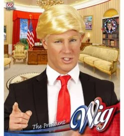 PERRUQUE DONALD USA (Président états Unis) Perruque Star Ou Célébrité