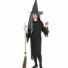 DÉGUISEMENT - SORCIÈRE (Filles De 5 à 13 Ans) Déguisement Pour Enfant -FêteMagique Soldes 0250 a