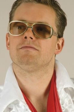 LUNETTES DE ROCK STAR (Lunettes De Soleil Dorées)