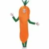 COSTUME CAROTTE ENFANT (Tailles Enfants 5 à 13 Ans) -FêteMagique Soldes 0282 nc 0282 a