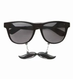 LUNETTES GENTLEMAN (Lunettes Avec Moustaches)