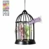 CORBEAU SQUELETTE A LED (Cage Avec Son Et Lumière) Démo Vidéo - Taille 34 Cm 1 CORBEAU SQUELETTE A LED (Cage Avec Son Et Lumière) Démo Vidéo - Taille 34 Cm -FêteMagique Soldes 07092 nc 07092 a