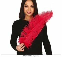 PLUME D'AUTRUCHE XL (Taille 50 Cm - 5 Coloris)
