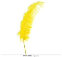PLUME D'AUTRUCHE XL (Taille 50 Cm - 5 Coloris) -FêteMagique Soldes 17676