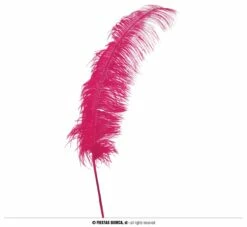 PLUME D'AUTRUCHE XL (Taille 50 Cm - 5 Coloris) -FêteMagique Soldes 17677