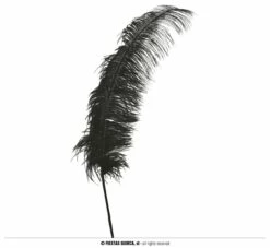 PLUME D'AUTRUCHE XL (Taille 50 Cm - 5 Coloris) -FêteMagique Soldes 17678