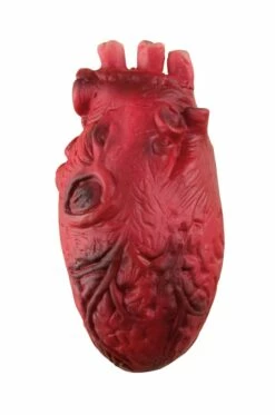 COEUR SANGUINOLENT (Décoration Halloween)
