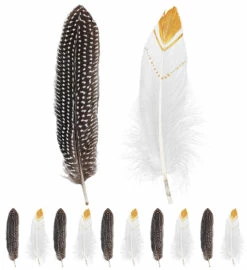 PACK PLUMES INDIENNES (Sachet 12 Plumes 20 Cm) -FêteMagique Soldes 33034 x