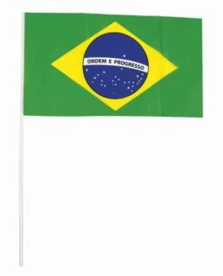 FANION BRESILIEN (drapeau )