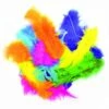 PLUMES MULTICOLORES (Sachet 25 Grammes) -FêteMagique Soldes 460101