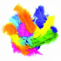 PLUMES MULTICOLORES (Sachet 25 Grammes)
