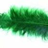 Plumes Vertes Pied Plat (Sachet 25 Grammes) -FêteMagique Soldes 460109 e1417452659375
