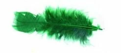 Plumes Vertes Pied Plat (Sachet 25 Grammes)