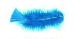 Plumes Bleues Pied Plat (Sachet 25 Grammes)