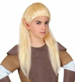 PERRUQUE ELFE FANTASY (Perruque En Boite)