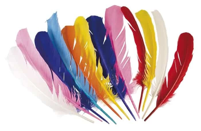 BELLES PLUMES COLORÉES (Sachet De 12 Plumes) 3 BELLES PLUMES COLORÉES (Sachet De 12 Plumes)