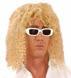 PERRUQUE CHANTEUR (Perruque Star Ou Célébrité) En Sachet