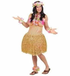 FEMME FORTE HAWAÏENNE (Cerceau, Bikini Et Jupe) Taille Unique - Démo Vidéo