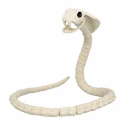 SQUELETTE SERPENT (Dimension 102 Cm)