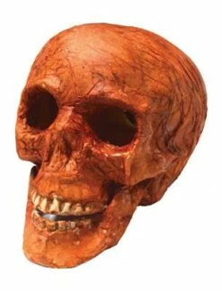 CRANE DE MOMIE LUMINEUX (Dimension 16 Cm)