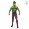 DÉGUISEMENT DE HULK (Tailles Adultes M/L Et XL) -FêteMagique Soldes 820956