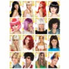 PACK 16 PERRUQUES MIXTES (Modèles Hommes/Femmes) 1 PACK 16 PERRUQUES MIXTES (Modèles Hommes/Femmes) -FêteMagique Soldes 86009 1