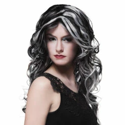 PERRUQUE DE SORCIÈRE (Cheveux Noirs Et Gris)
