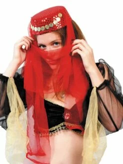 COIFFE ORIENTALE + VOILE (Danseuse Du Ventre)