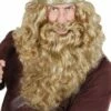 MAXI BARBE DE VIKING (Barbe Blonde En Boite)