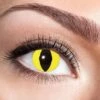 LENTILLES DÉCORATIVES (YEUX JAUNES DE CHAT) Lentilles Longue Durée -FêteMagique Soldes M04 Yellow Cat
