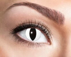 LENTILLES DÉCORATIVES (YEUX NOIRS DE CHAT) Lentilles Longue Durée