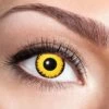 LENTILLES DÉCORATIVES (YEUX JAUNE FEU FLASH) Lentilles Longue Durée -FêteMagique Soldes M30 Lowe