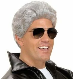 PERRUQUE T-BIRDS GRISE