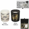 COFFRET BOUGIES SAVANE (Fleur De Coton - Cachemire) Duo Bougies Parfumées