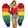 AILES D'ANGE ARC EN CIEL (Ailes En Plumes 120/120 Cm) Gay Pride -FêteMagique Soldes import 376 52836 1